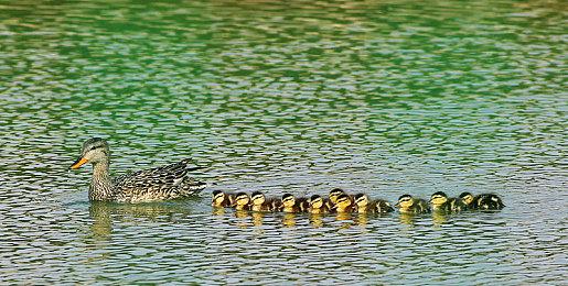 开着高达去种田 《光年拓荒》再曝最新实机演示